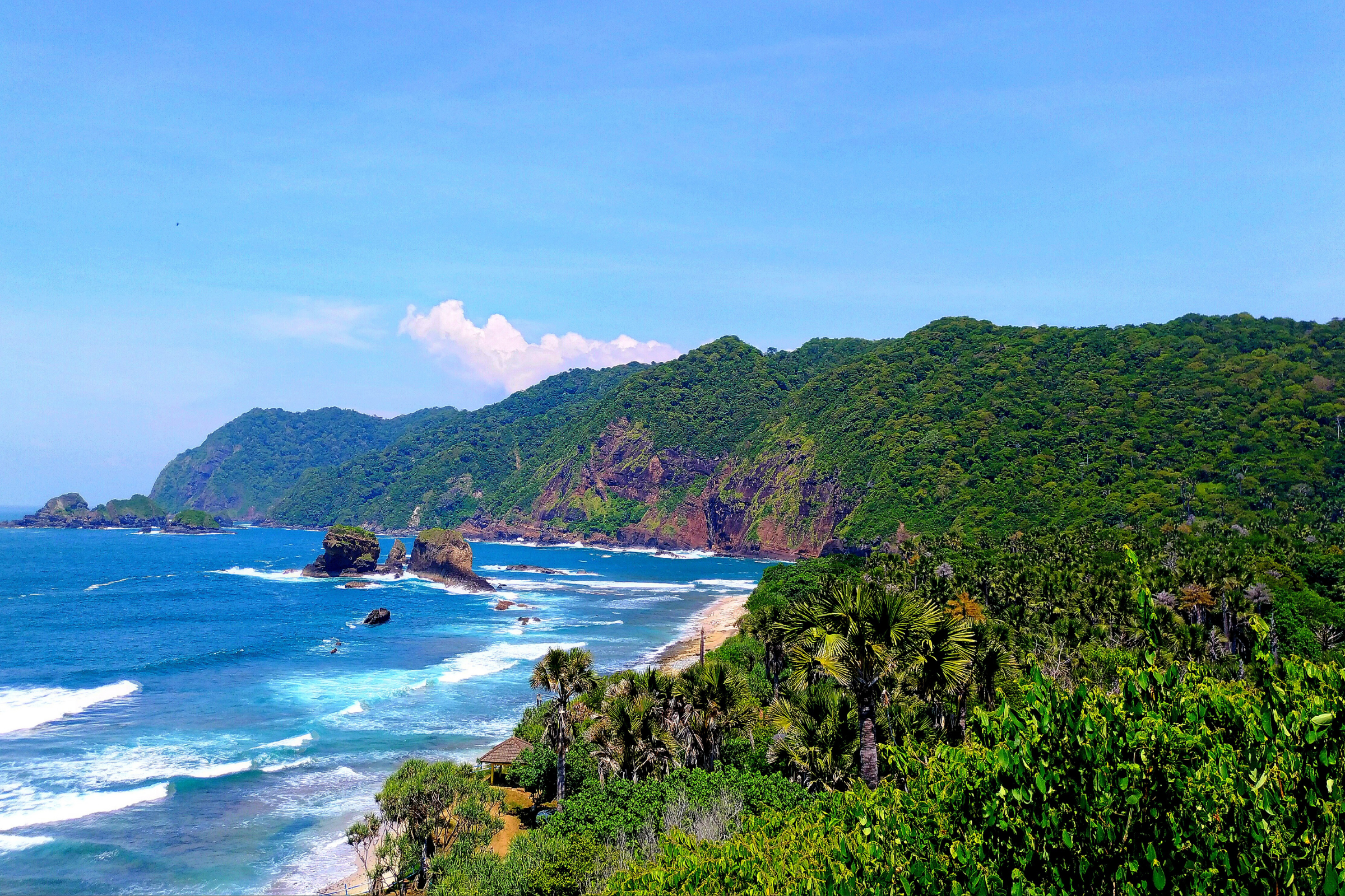 red island beach, java island (2).webp